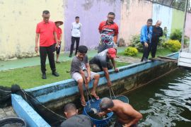 Lapas Pekanbaru panen 2 ton ikan patin hasil budidaya warga binaan