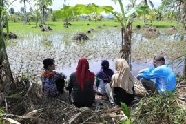 Kota Singkawang bangunan jaringan irigasi air tanah