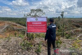 Banjir Sumatera, Kemenhut dalami peran 12 subjek hukum di Tapanuli