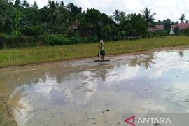 Petani Kaltim masih sejahtera dibuktikan dengan NTP tinggi