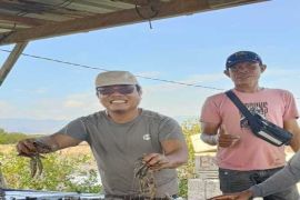 Terkendala lahan, Investasi budidaya udang Rp8 Triliun di Dompu tertahan