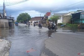 Banjir rob rendam rumah warga Kampung Opas Pangkalpinang