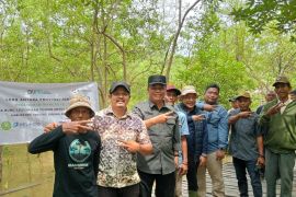Pemkab Tanjung Jabung Barat terus benahi jalan ke area ekowisata mangrove