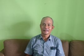 Akademisi: Penegak hukum harus berani tindak perusak hutan