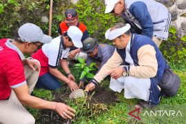 Pemkab Bangli Bali tanam pohon mitigasi risiko bencana