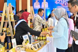 Pemprov Sulteng dorong UMKM masuk industri modern lewat Business Matching