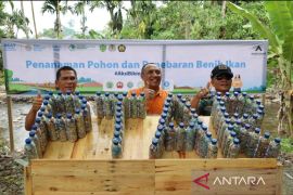 PT Agincourt Resources sebut belum terima Surat Resmi Penghentian Operasi