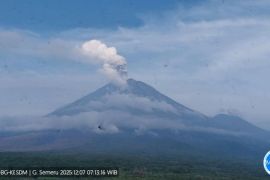Gunung Semeru hari ini empat kali erupsi dengan tinggi letusan 1 km