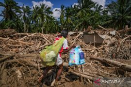 Bareskrim Polri selidiki dugaan penebangan liar di Sungai Tamiang