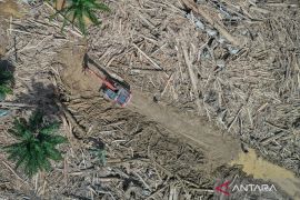 Penegak hukum harus berani tindak perusak hutan