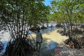 DLH Indramayu memperkuat pemantauan kualitas udara dengan sistem AQMS