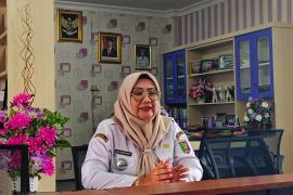 Lampung buka peluang investasi sapi perah tambah produksi susu