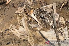 Dua jenazah berkafan dari Sungai Garoga, Kisah sunyi dari garis terdepan evakuasi