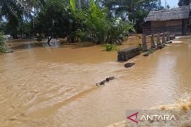 25 desa di Aceh Barat terendam banjir, ketinggian air capai 50 cm