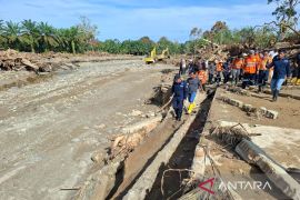 KLH mulai panggil empat perusahaan beroperasi di DAS Batang Toru
