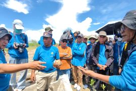 Peningkatan Kapasitas Mangrove Perkuat Ekosistem dan Pendapatan Warga