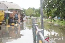 Babel bantu 1.000 warga korban banjir rob