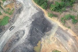 Kemenhut tangkap empat penambang batu bara ilegal di cagar alam Kaltim