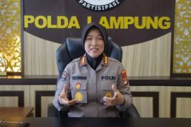 Polda Lampung dan Kemenhut berkoordinasi terkait temuan kayu di Pesibar