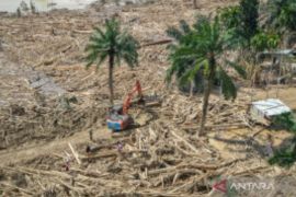 Bareskrim Polri selidiki dugaan penebangan liar di Sungai Tamiang