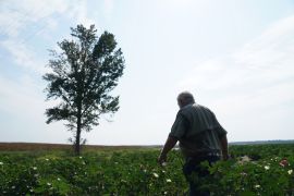 AS luncurkan paket bantuan untuk petani yang terdampak kebijakan tarif
