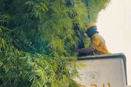 Bina Marga Jakbar-Apjatel rapikan kabel udara semrawut di Kembangan