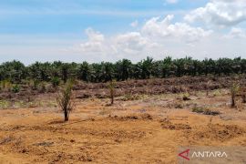 PSR jangkau 3.984 ha kebun petani Mukomuko