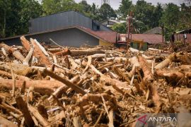Kemenhut izinkan kayu hanyut saat banjir ddimanfaatkan untuk pemulihan banjir Sumatera