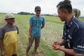 Serapan pupuk subsidi di Tulungagung capai 90 persen