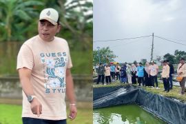 DKP Kalsel perkuat budidaya ikan haruan di UPTD PBKL Karang Intan