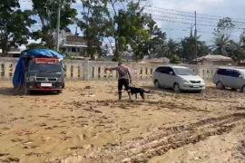 Polda Aceh kerahkan anjing K-9 cari korban banjir di Aceh Tamiang