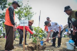 Pemkab Boyolali lakukan penanaman pohon serentak pada peringatan HMPI