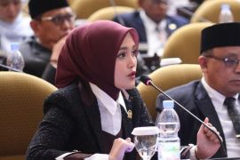 Cerint Irraloza Tasya minta pemerintah batalkan pemangkasan TKD untuk Sumbar, Sumut dan Aceh