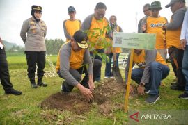 Pemprov Gorontalo hijaukan kembali akses jalan GORR