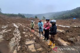 Pemkab Pasaman Barat maksimalkan upaya buka jalan tertimbun longsor