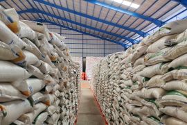 Bulog: CBP capai 162 ribu ton, beras di Lampung mencukupi