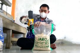 Ponpes Al-Madaniyah Jaro kembangkan usaha beras premium