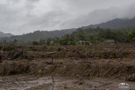Pemprov Sumbar catat 1.341 ha sawah alami puso akibat bencana