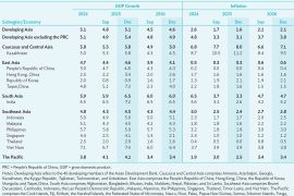 ADB naikkan proyeksi pertumbuhan RI pada 2025 jadi 5 persen