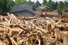 Tumpukan kayu gelondongan di permukiman Page 3 Small