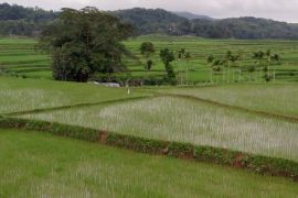 Peak Energy Celebrates Two-Year Milestone with Over 1.5 GW in Projects Across APAC