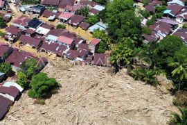 Tumpukan kayu gelondongan di permukiman