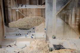 Ekspor semen alami peningkatan