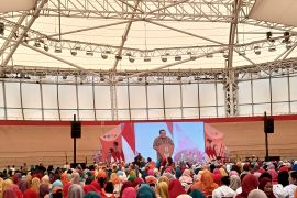 Rano Karno ajak warga Jakarta perkuat ekosistem perlindungan keluarga