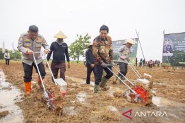 Polri berkomitmen membantu program swasembada pangan lewat tanam jagung