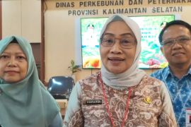 Disbunnak Kalsel libatkan 1.200 petani lokal kembangkan kelapa genjah