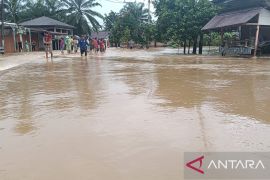 Kerugian sektor pertanian akibat bencana alam di Pasaman Barat Rp3,94 miliar