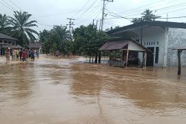 Pemkab: Kerugian pertanian Pasaman Barat Rp3,94 miliar akibat banjir