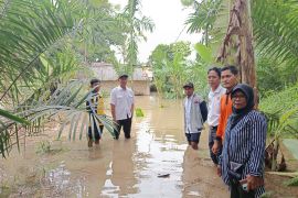 Banjir rendam lima desa di OKU Timur Sumsel