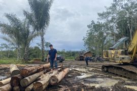 11 companies under investigation for role in North Sumatra floods